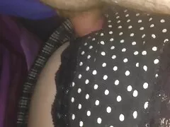 Busty Madison பாவம் செய்ய ஒரு டிக் தேடுகிறார்