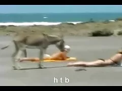 துஷிரா வயலட் தன் இறுகிய கழுதையை கடுமையாகப் பிடிக்கிறாள்